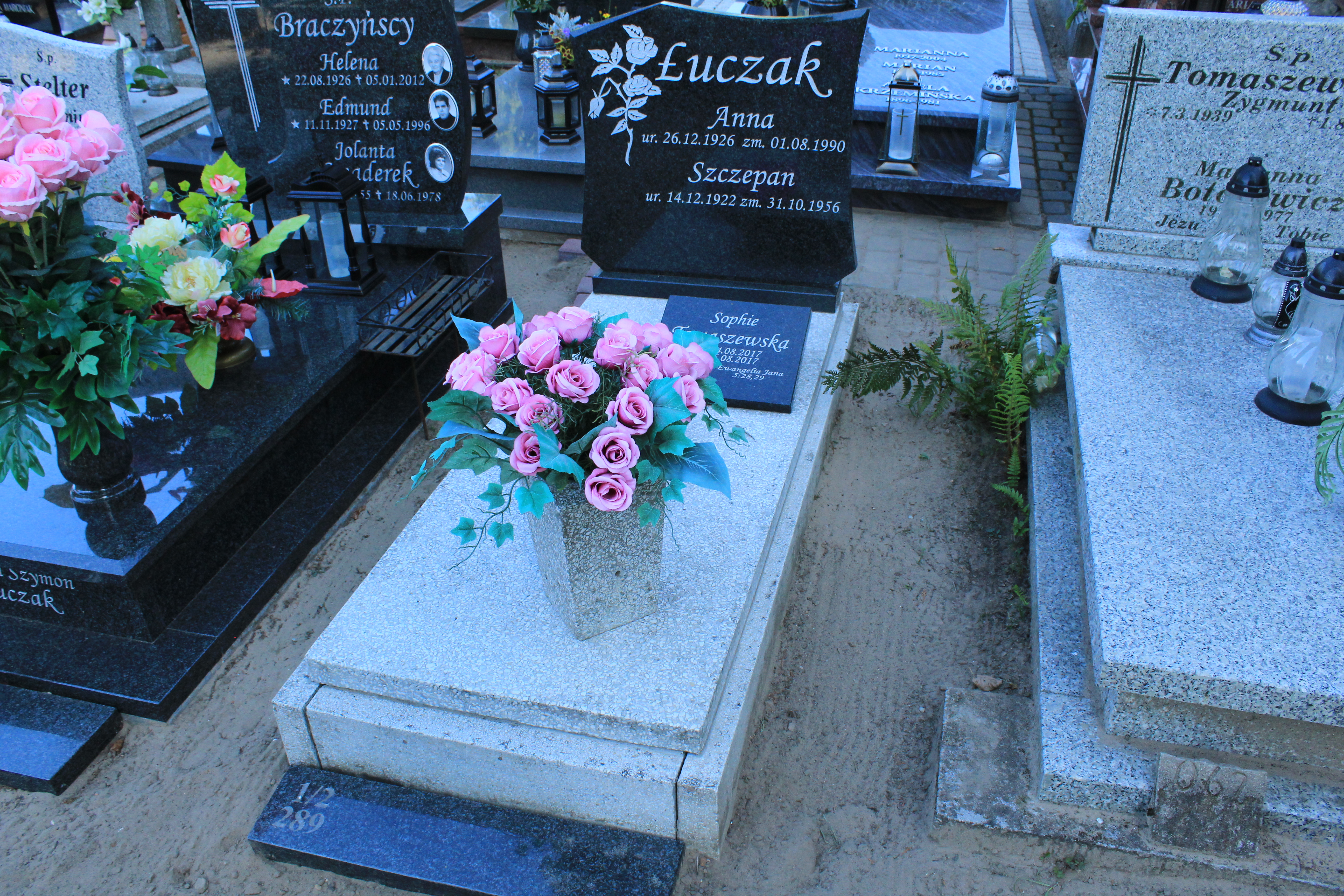 Henryka Tomaszewska 1952 Chodzież - Grobonet - Wyszukiwarka osób pochowanych